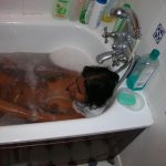 Wet Naked Cabo Verdean Girl Bathing